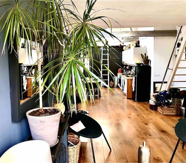 Apartment Loft De Charme Louvre Tuileries Palais Royal *